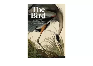 PDF read online The Bird The Great Age of Avian Illustration full