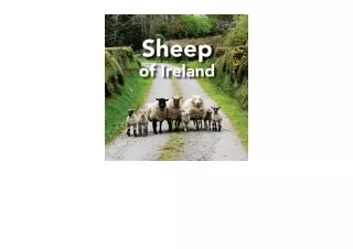 Ebook download Sheep of Ireland for ipad