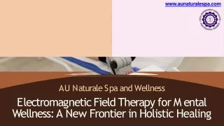 Electromagnetic Field Therapy for Mental Wellness A New Frontier in Holistic Healing