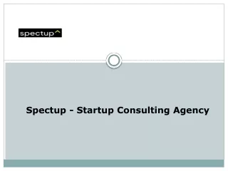 Startup Consulting Agency