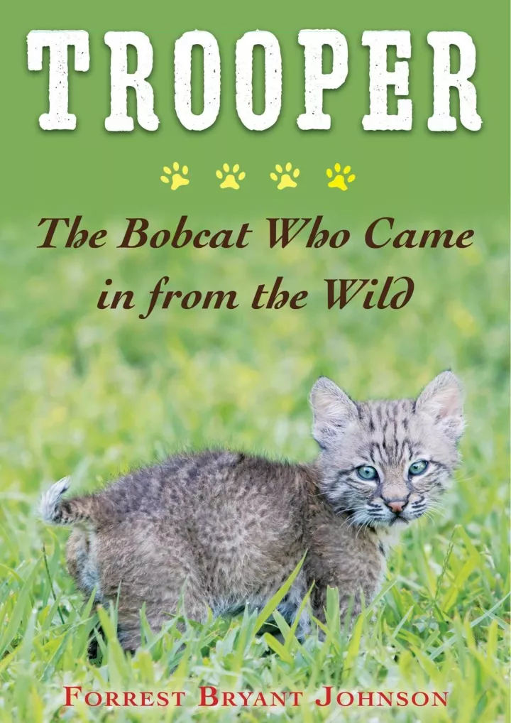 trooper the bobcat who came in from the wild