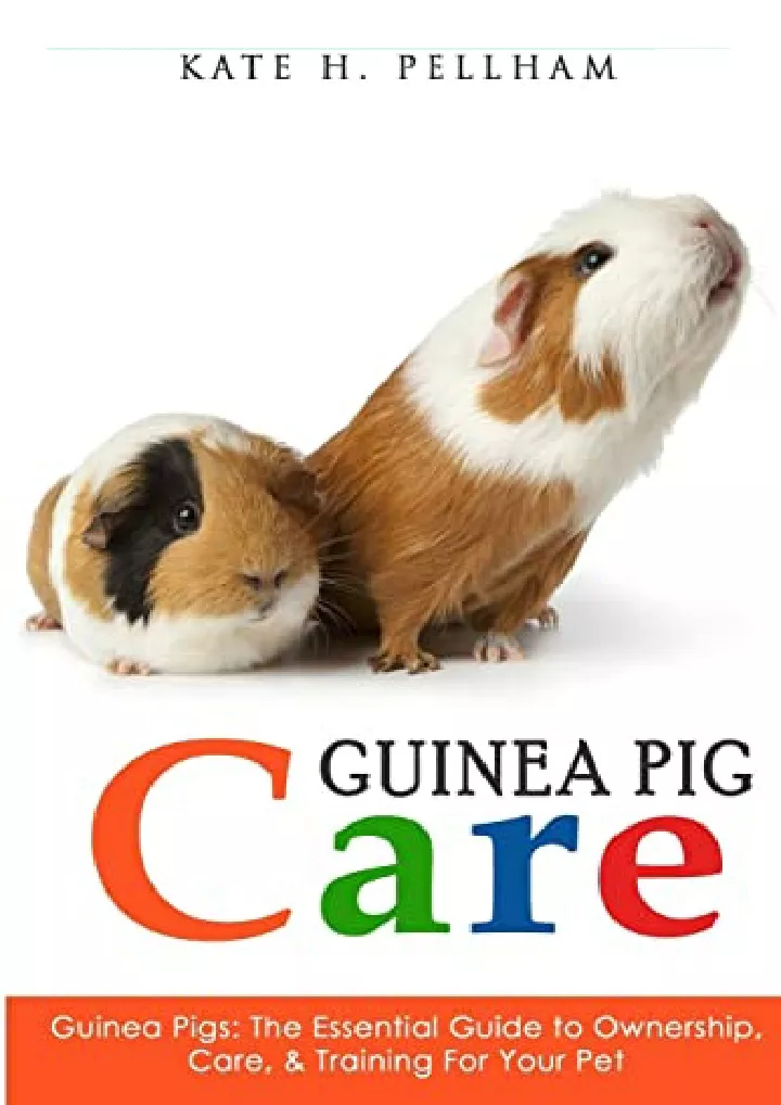 guinea pigs the essential guide to ownership care