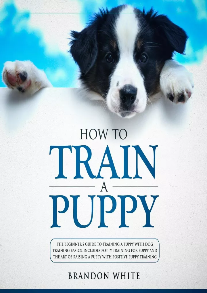 how to train a puppy the beginner s guide