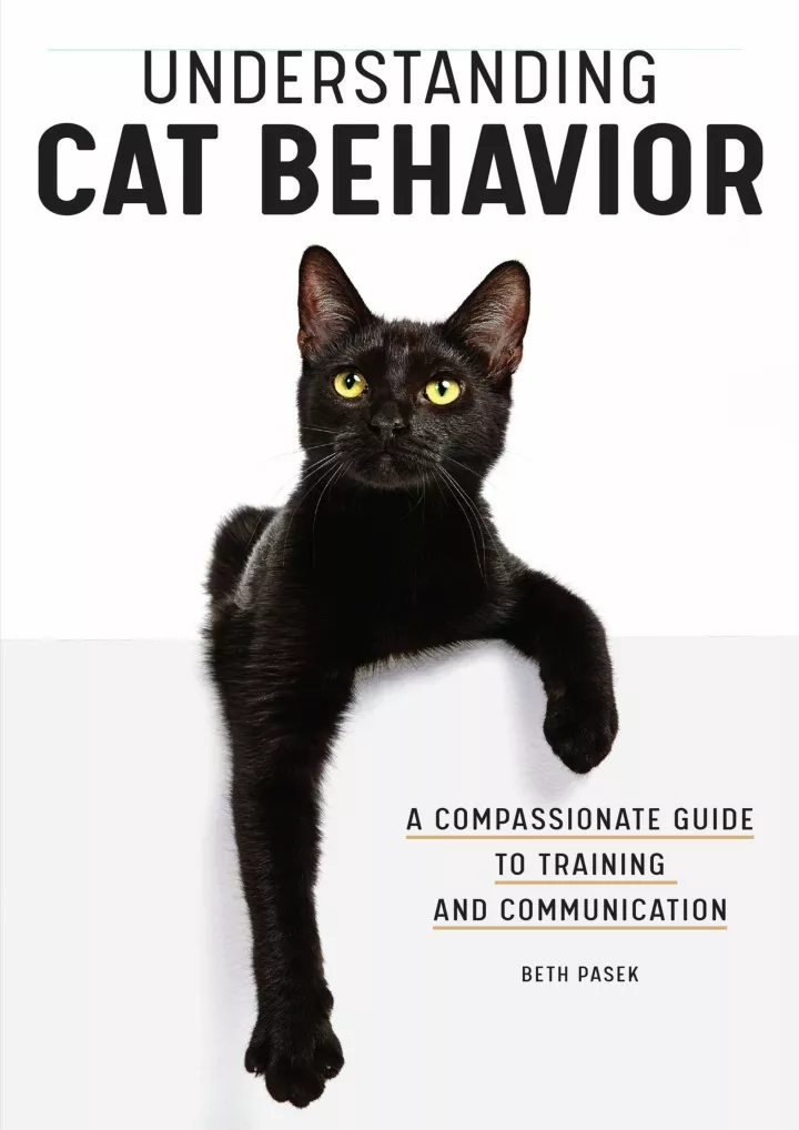 understanding cat behavior a compassionate guide