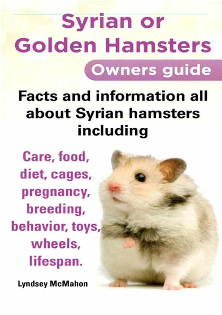 syrian or golden hamsters owners guide facts