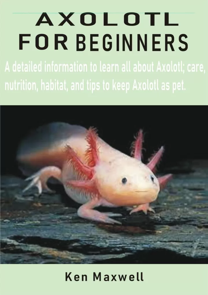 axolotl for beginners a detailed information