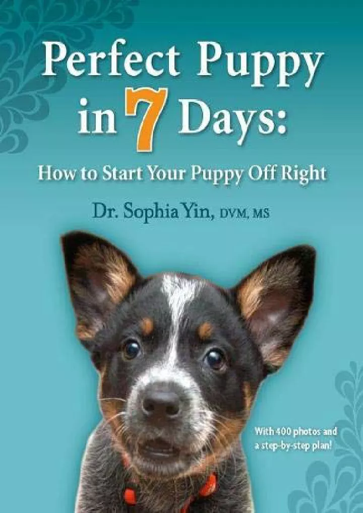 perfect puppy in 7 days how to start your puppy