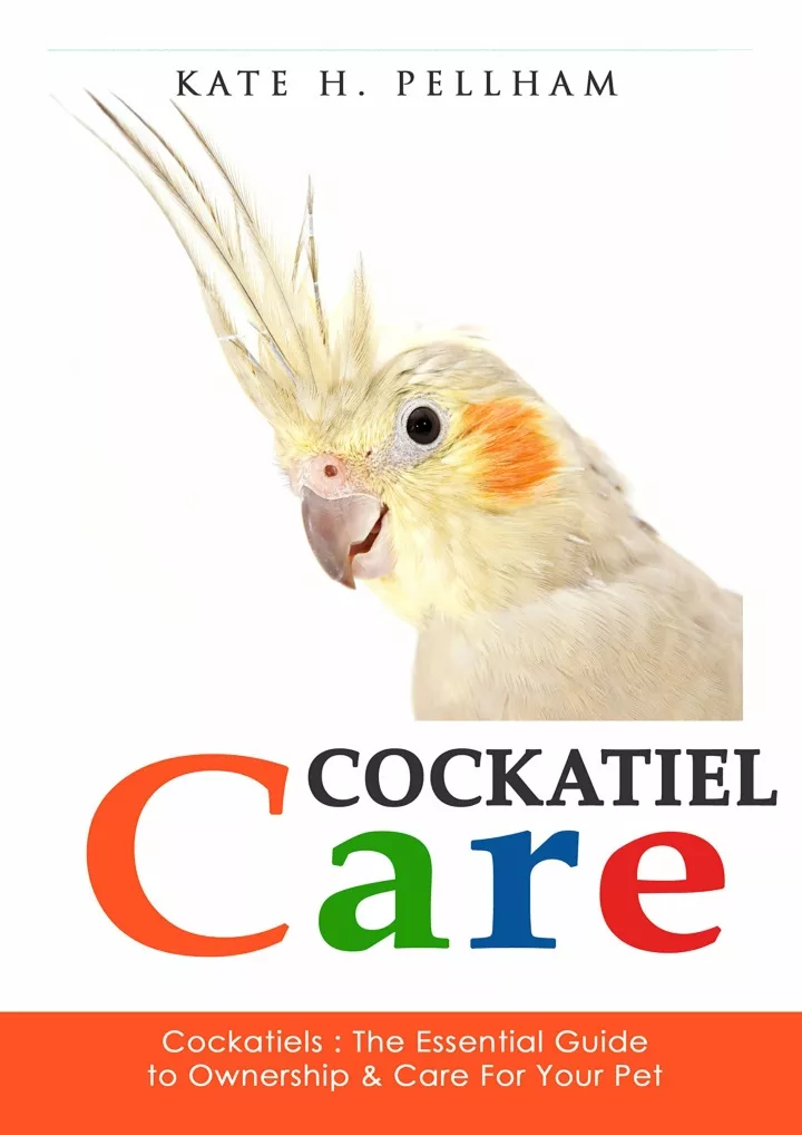 cockatiels the essential guide to ownership care