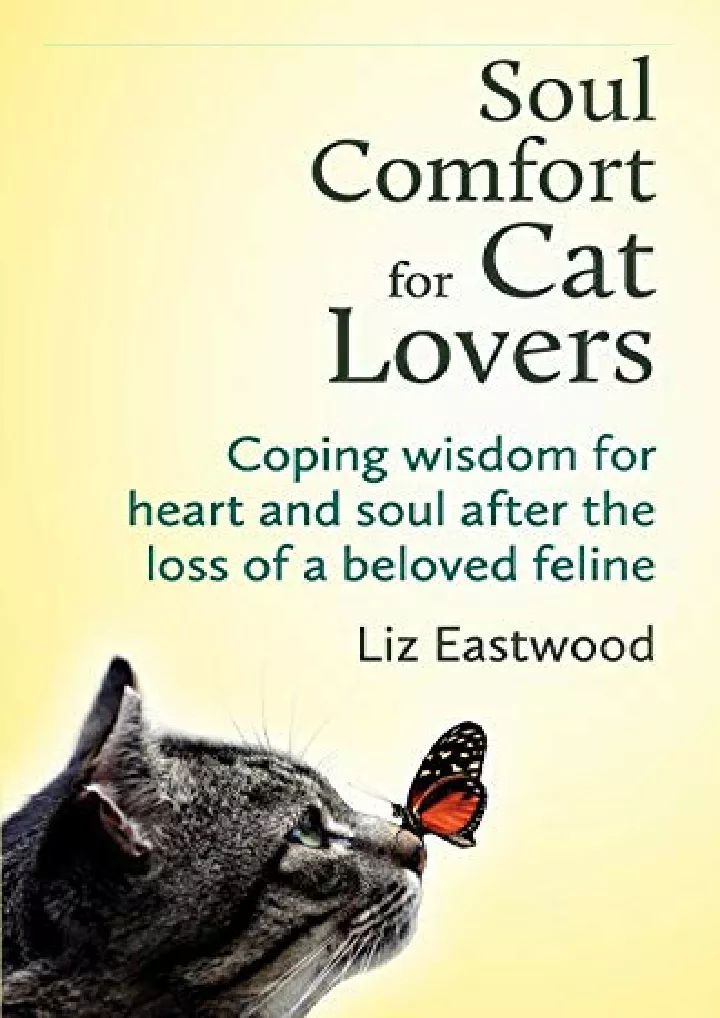 soul comfort for cat lovers coping wisdom