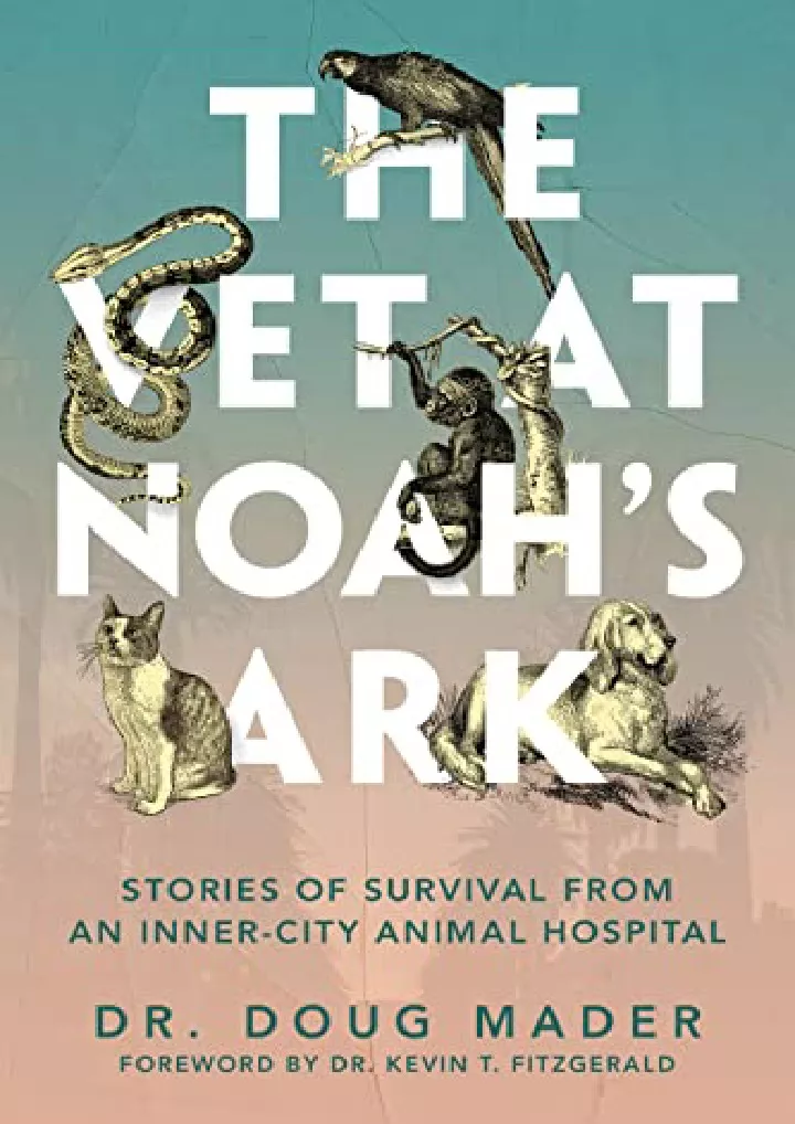 the vet at noah s ark stories of survival from