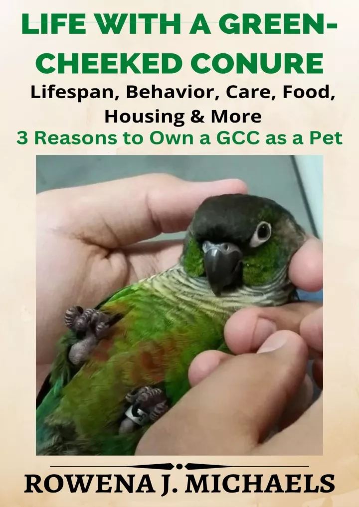 life with a green cheeked conure lifespan