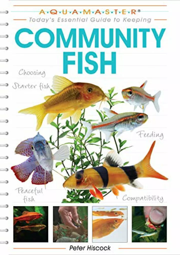 community fish companionhouse books choosing