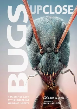 PDF Bugs Up Close: A Magnified Look at the Incredible World of Insects down