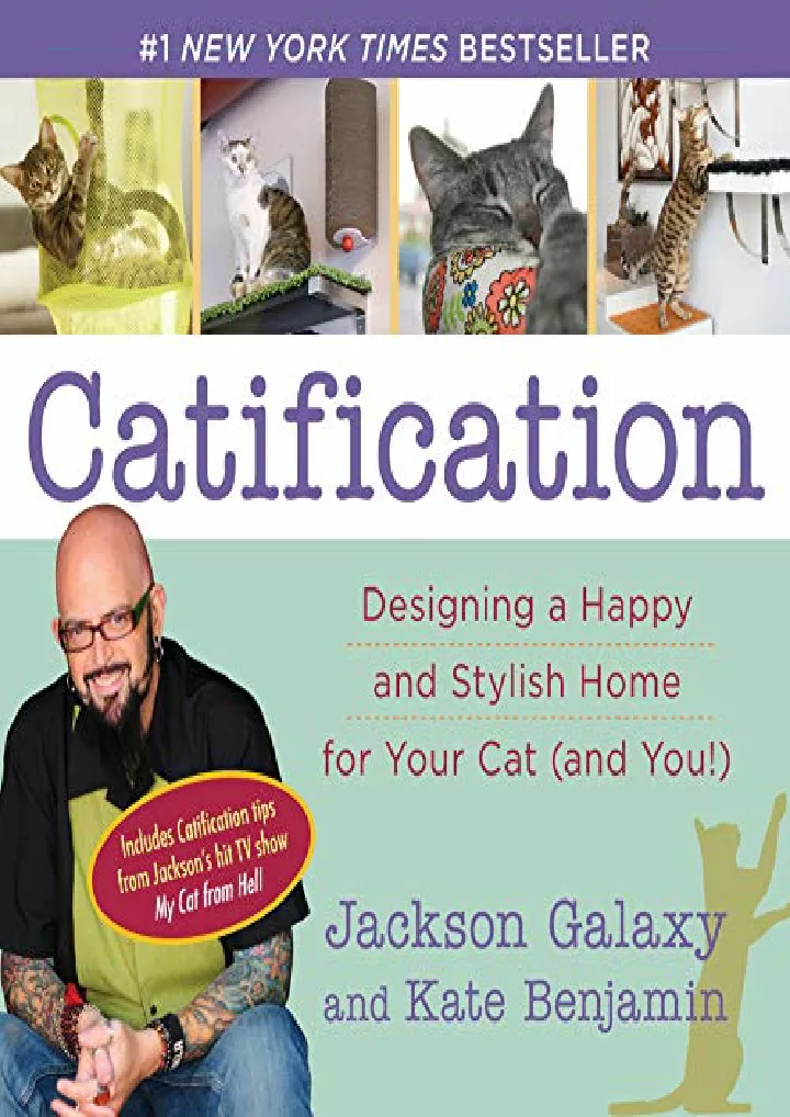 catification designing a happy and stylish home