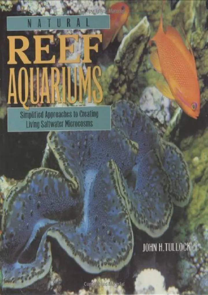 natural reef aquariums simplified approaches