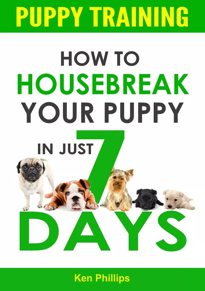 puppy training how to housebreak your puppy
