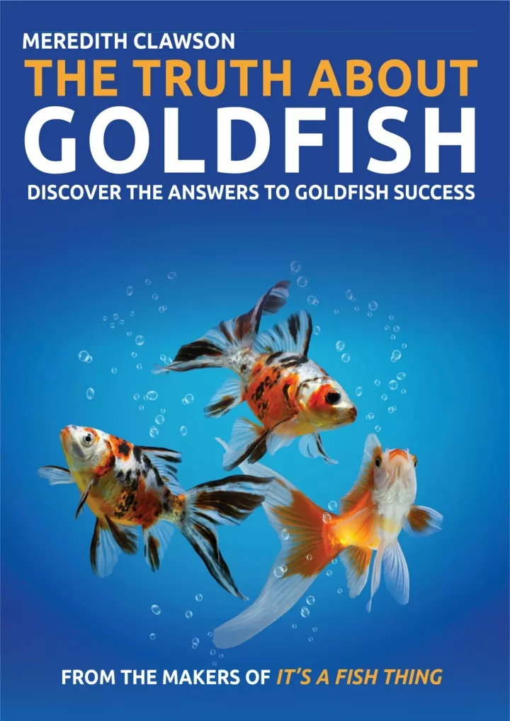 the truth about goldfish discover the answers