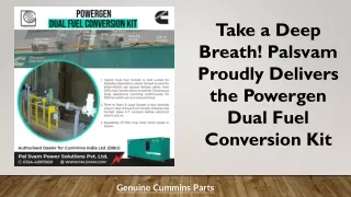 Take a Deep Breath! Palsvam Proudly Delivers the Powergen Dual Fuel Conversion Kit--