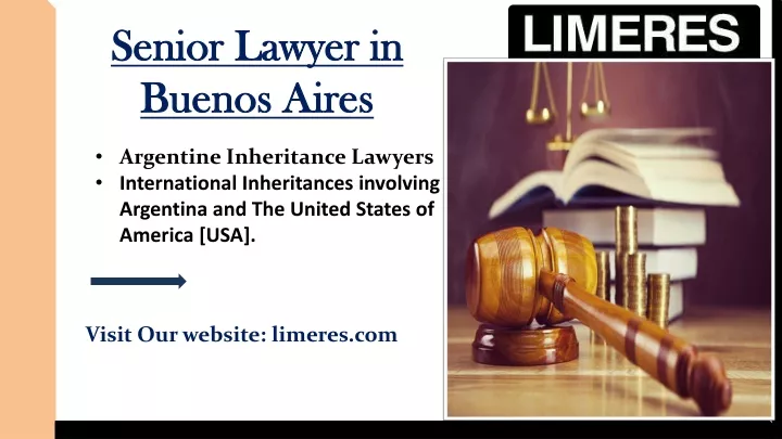 senior lawyer in buenos aires