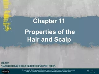 chapter 11
