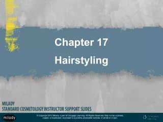 Chapter 17 Hairstyling