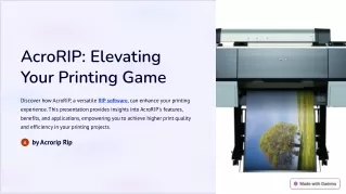 AcroRIP: Elevating Your Printing Game