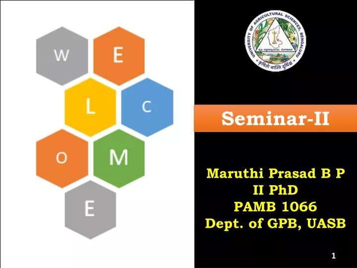 seminar ii