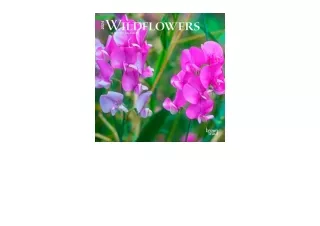 Ebook download Wildflowers2024 7 x 14 Inch Monthly Mini Wall CalendarBrownTroutF