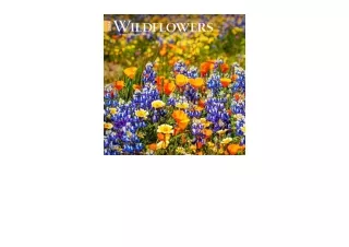 Kindle online PDF Wildflowers2024 12 x 24 Inch Monthly Square Wall CalendarBrown
