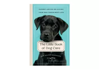Download PDF The Little Book of Dog Care Expert Advice on Giving Your Dog Their
