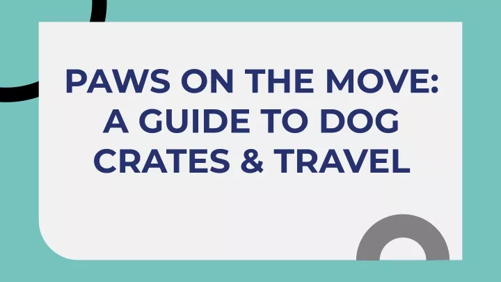 paws on the move a guide to dog crates travel