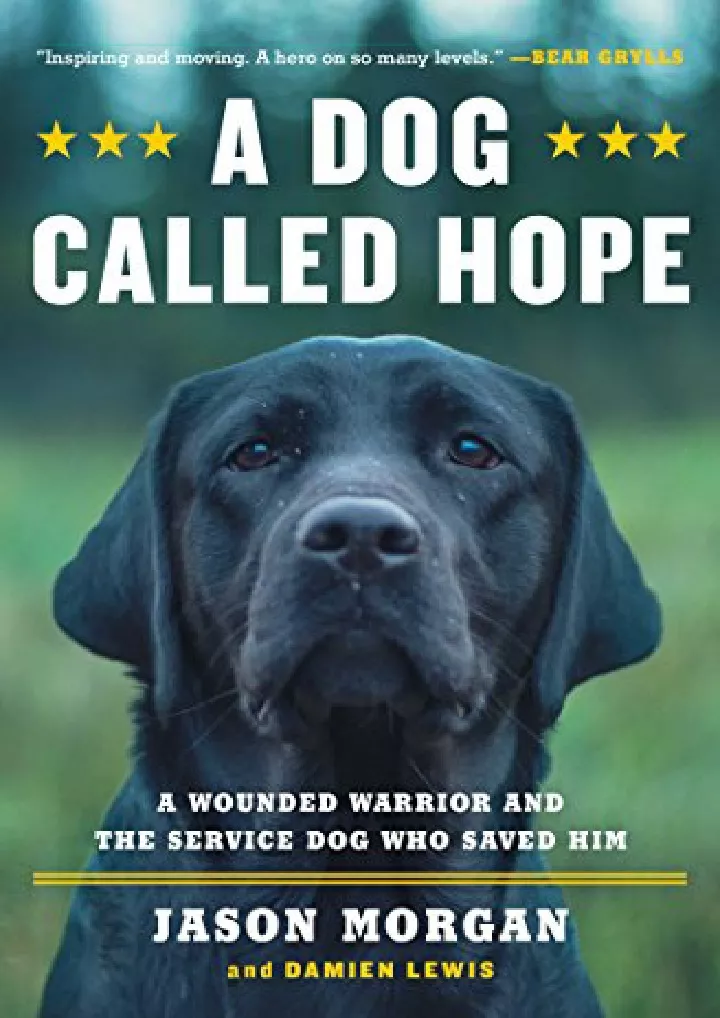 a dog called hope a wounded warrior