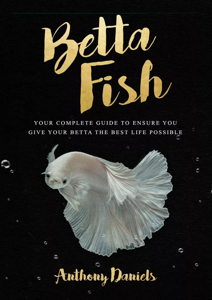 betta fish your complete guide to ensure you give