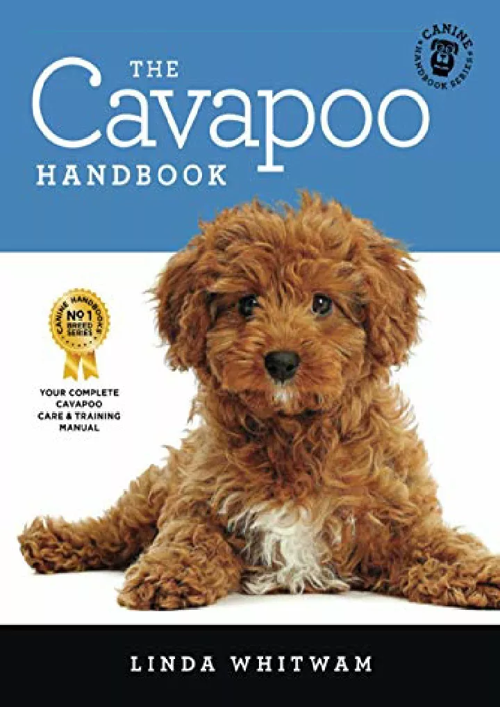 the cavapoo handbook the essential guide