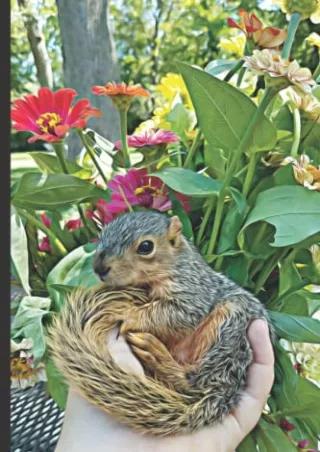 [PDF] DOWNLOAD FREE Notebook- Ernest P. Squirrel with Zinnias- Lined Notebook, 1