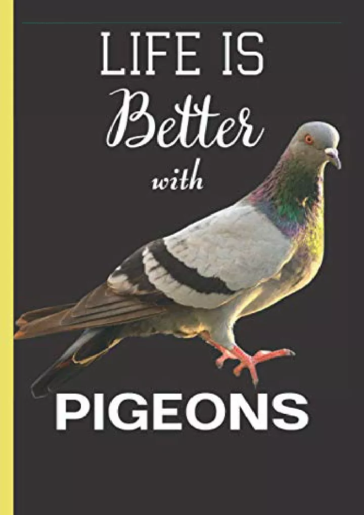 life is better with pigeons pigeon gifts