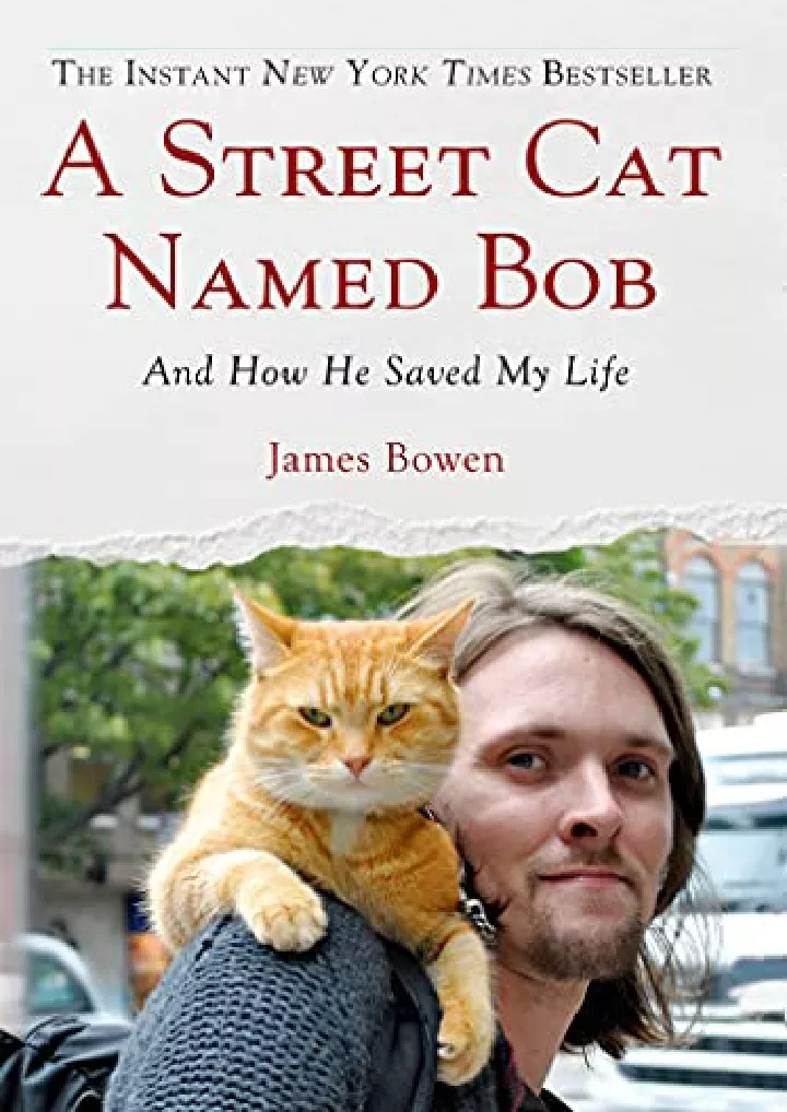 a street cat named bob and how he saved my life