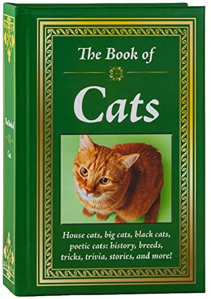 the book of cats house cats big cats black cats
