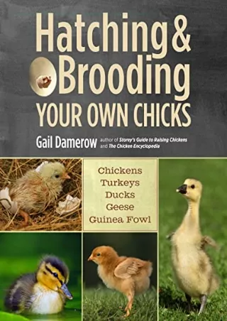 READ [PDF] Hatching & Brooding Your Own Chicks: Chickens, Turkeys, Ducks, Geese,