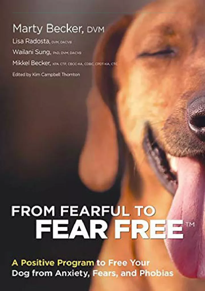 from fearful to fear free a positive program