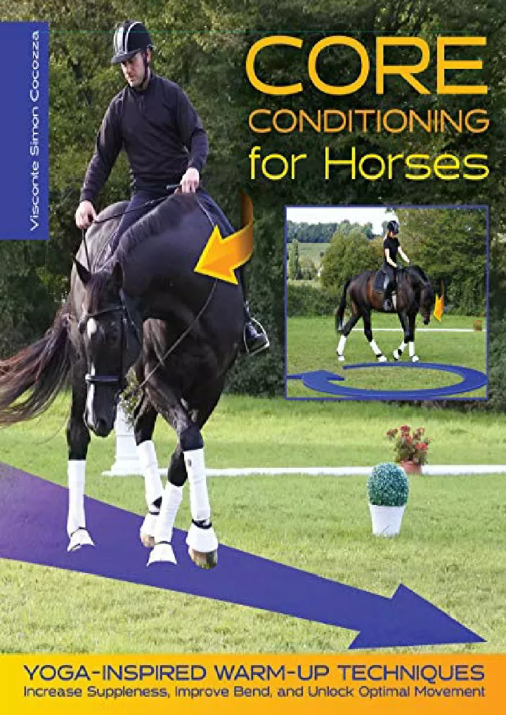 core conditioning for horses yoga inspired warm