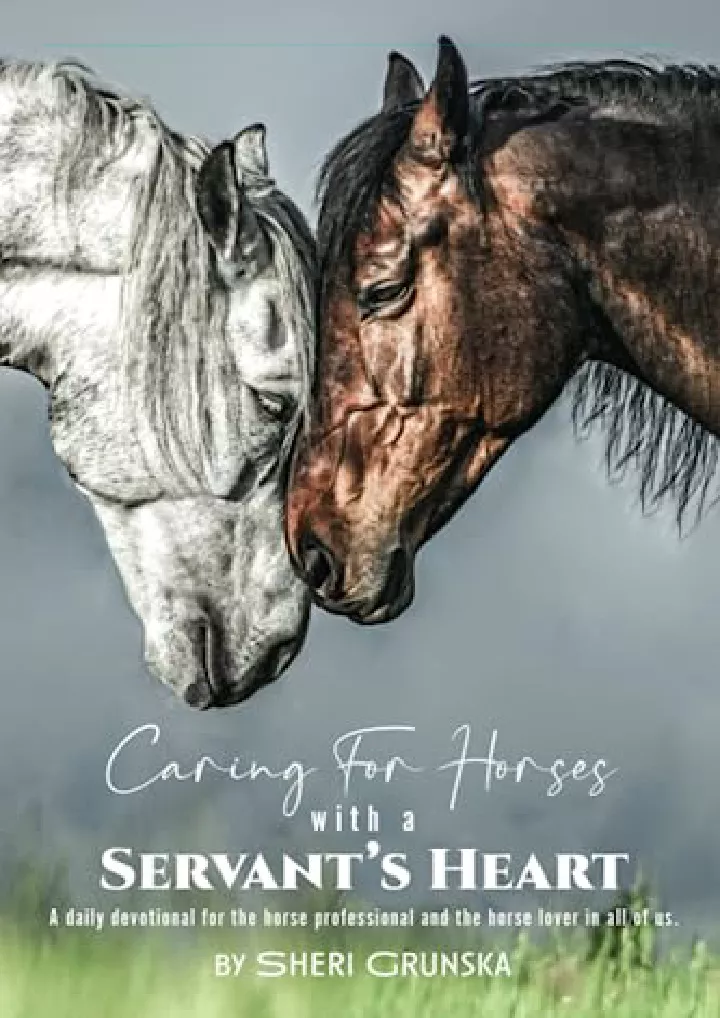 caring for horses with a servant s heart a daily