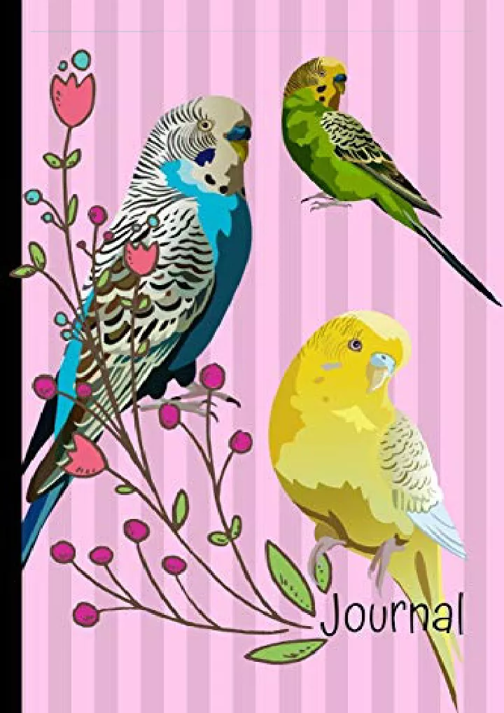 journal parakeet birds pink journal lined blank