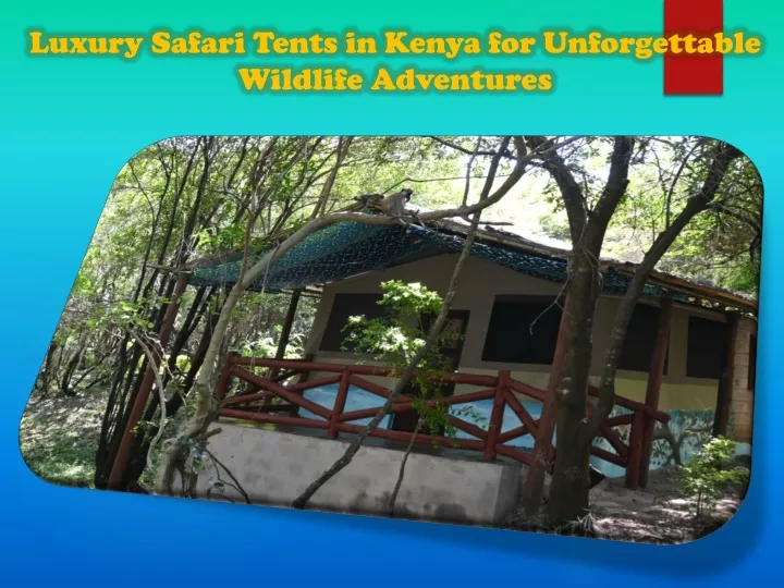 luxury safari tents in kenya for unforgettable