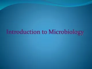 lecture no 1 micro