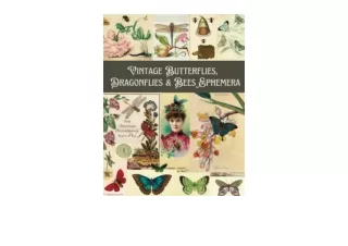 Download PDF Vintage Butterflies Dragonflies and Bees A Collection of Authentic