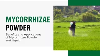 Mycorrhizae Solutions: Sustainable Agriculture & Landscaping Practices