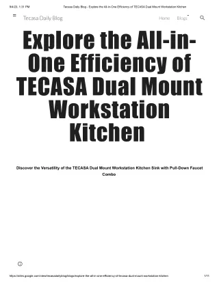 Tecasa Daily Blog - Explore the All-in-One Efficiency of TECASA Dual Mount Workstation Kitchen