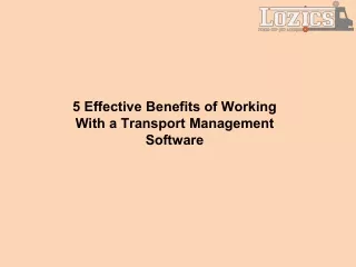 5 effective benefits of working with a transport