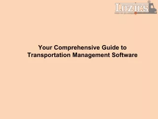 your comprehensive guide to transportation